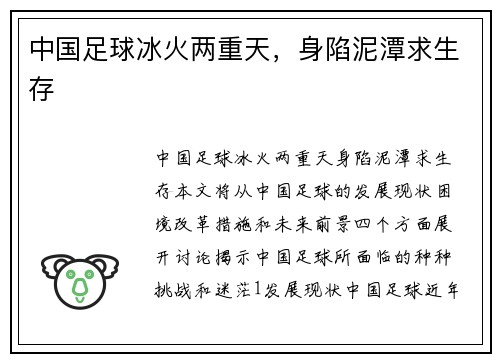 中国足球冰火两重天，身陷泥潭求生存